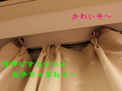 b0158061_2133119.jpg