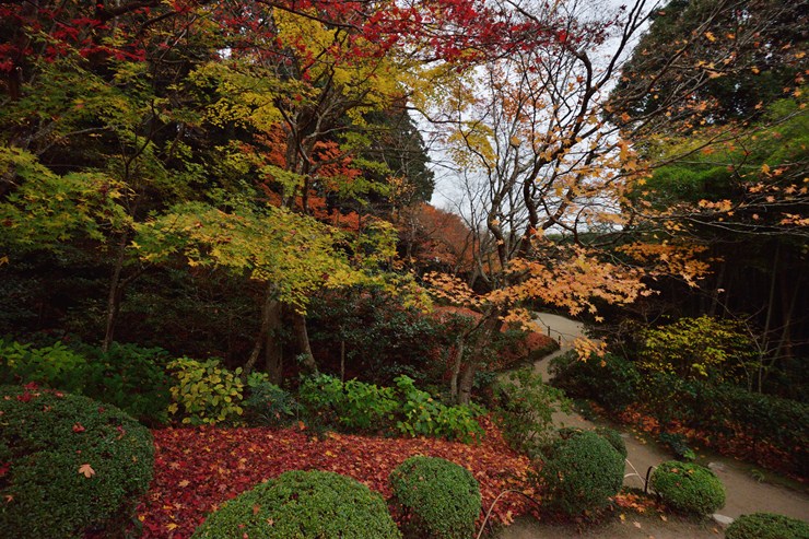 f0222161_134225.jpg