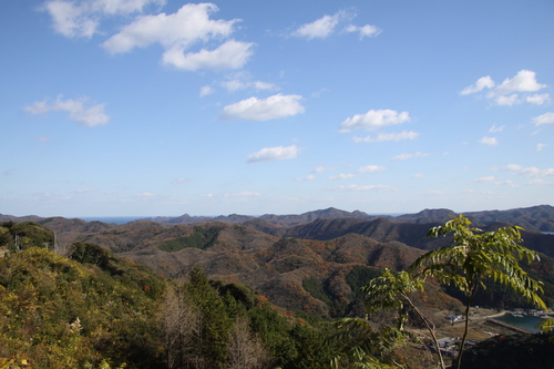 f0207669_1049163.jpg