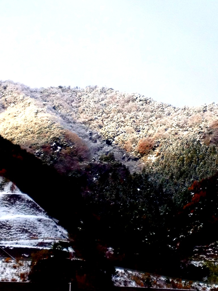 c0142576_10301081.jpg