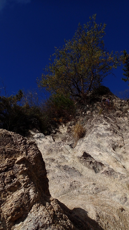 e0024081_1528391.jpg