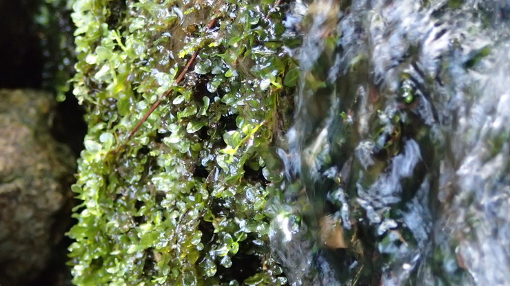 e0024081_15402797.jpg