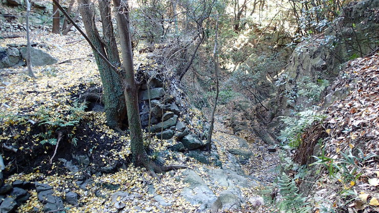 e0024081_1542541.jpg
