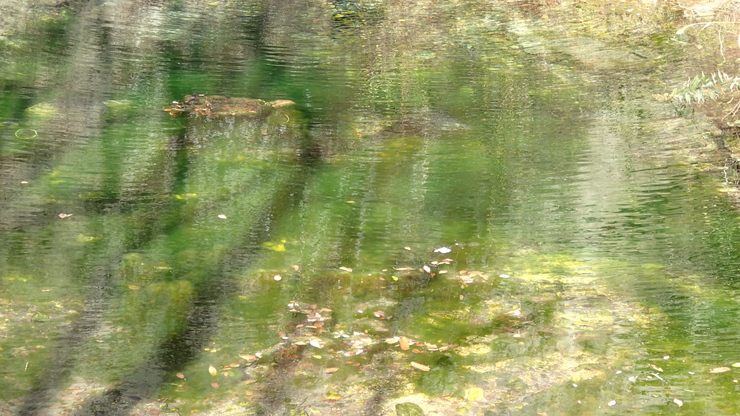e0024081_15431955.jpg