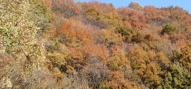 e0024081_16341732.jpg