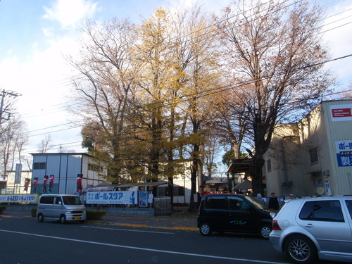 d0034291_18402641.jpg