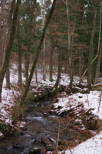 b0119493_11640100.jpg