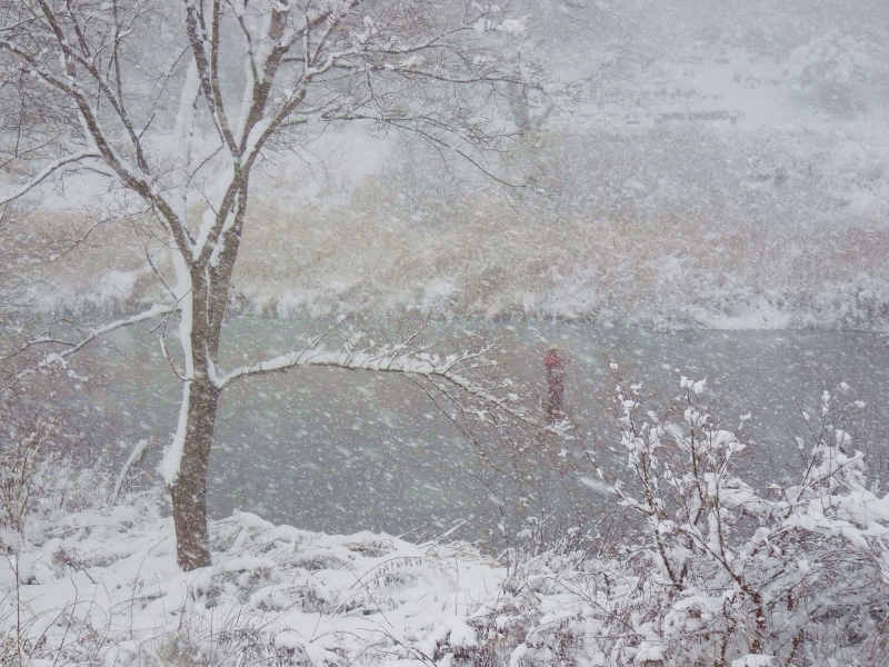 e0202393_20112440.jpg
