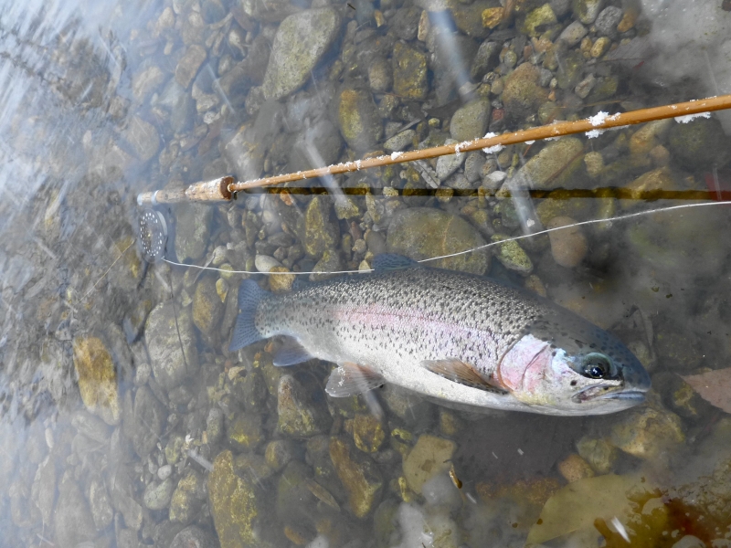 e0202393_20141025.jpg