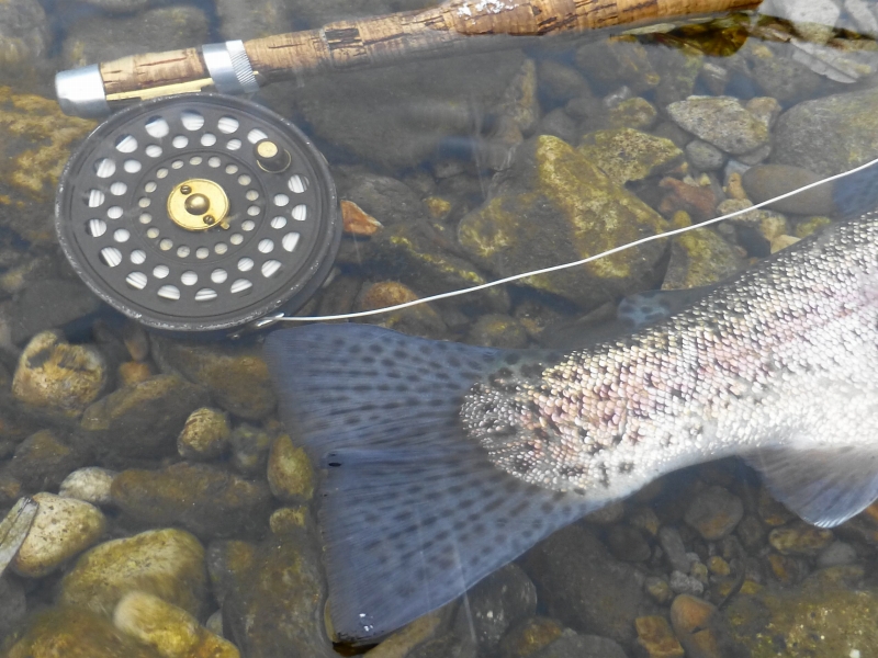 e0202393_2015103.jpg