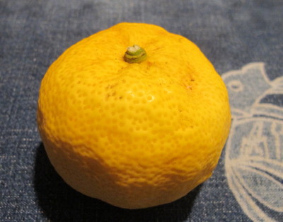 a0127398_250345.jpg