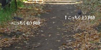 c0204298_18103611.jpg