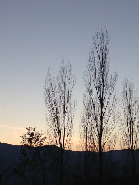 b0083902_16551447.jpg