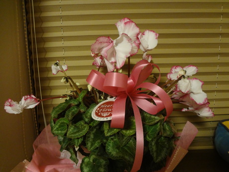 e0292102_1432731.jpg