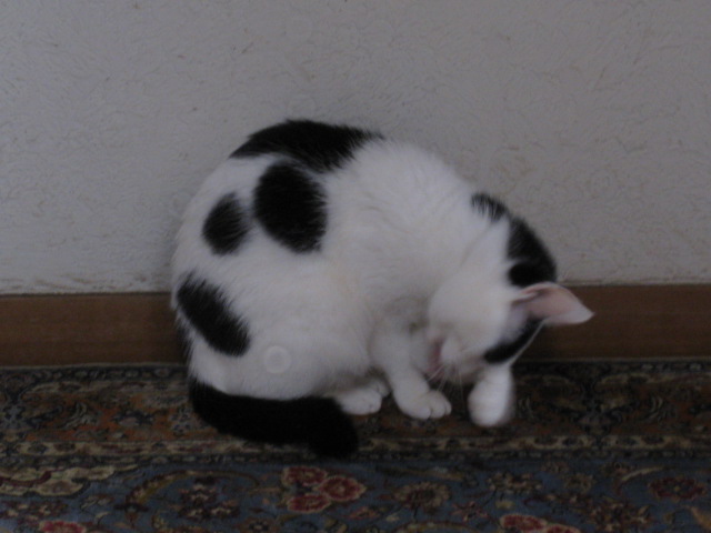 b0289206_15454079.jpg