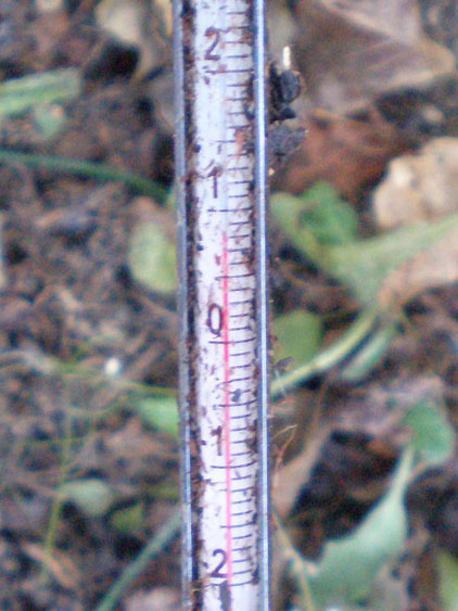 a0193314_20233671.jpg