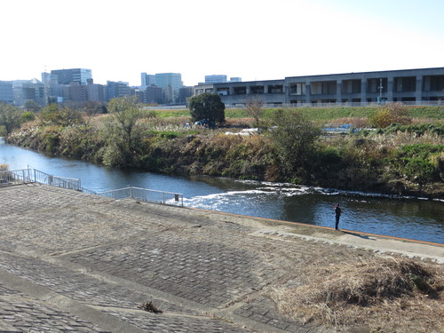b0121015_1221365.jpg