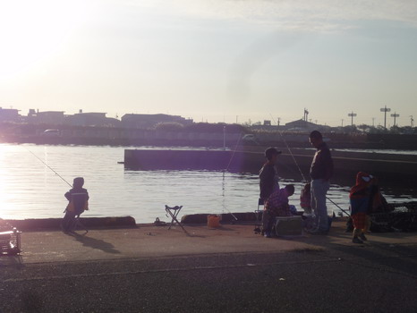 d0004617_16411377.jpg