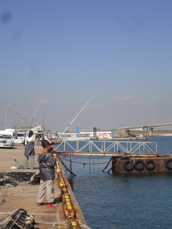 d0004617_1642198.jpg