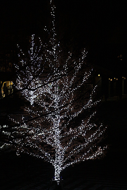 e0071225_8352148.jpg