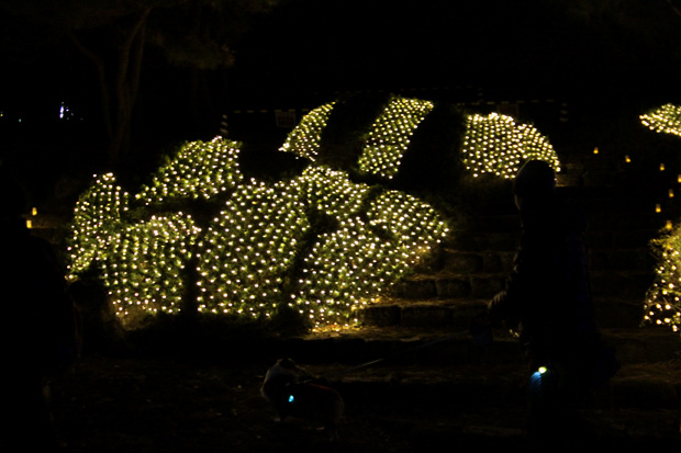 e0071225_8354529.jpg