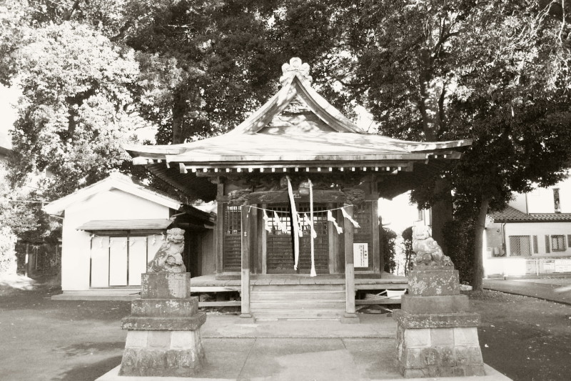 c0109827_17375286.jpg