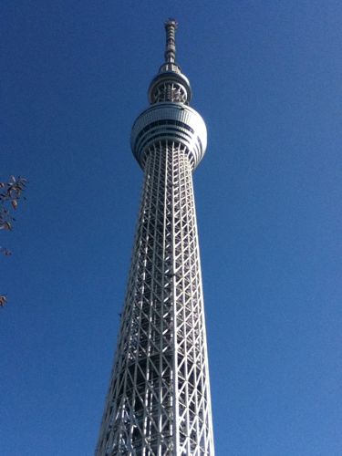 f0165831_2248487.jpg