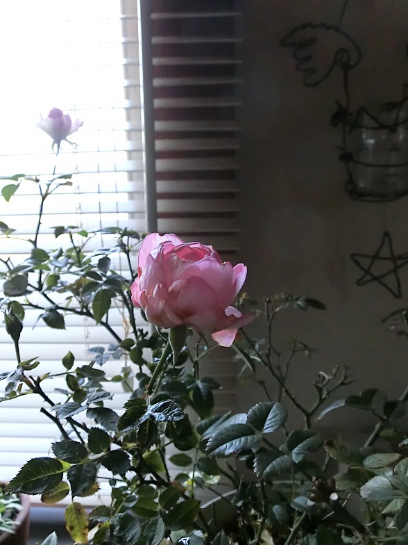 f0237037_1584681.jpg