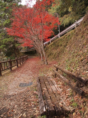 b0199742_2311765.jpg