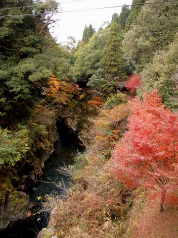 b0199742_2373764.jpg
