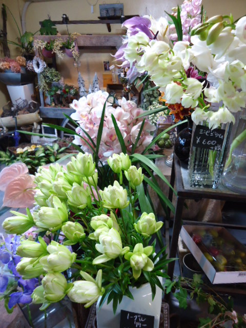f0041850_18513998.jpg