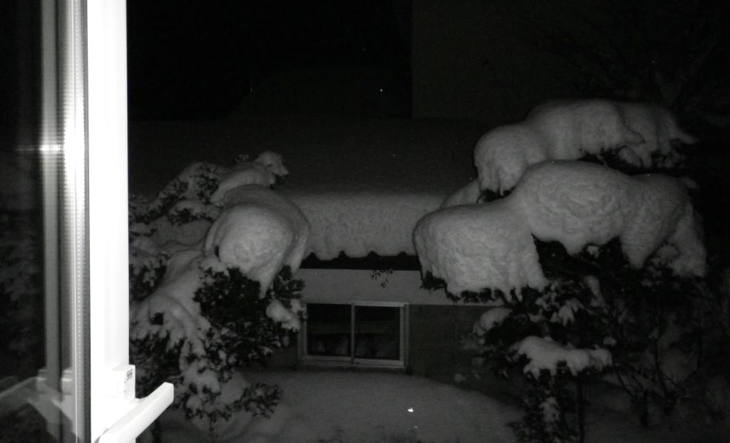 f0057955_2114253.jpg