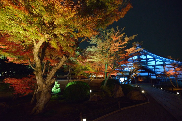 f0222161_10341560.jpg