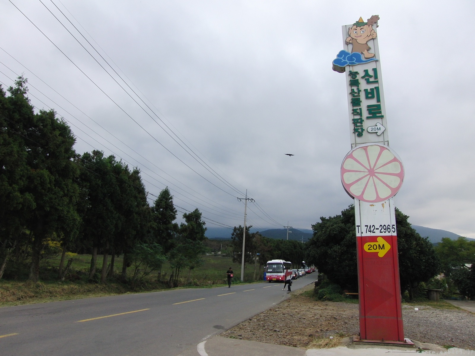 c0127366_7594081.jpg