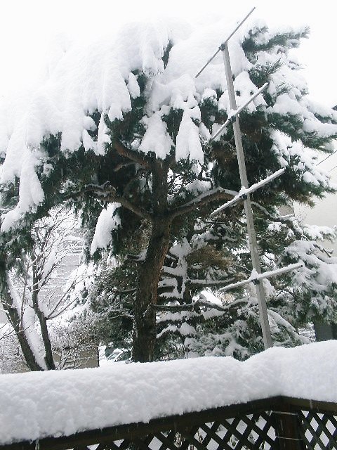 d0150967_2051591.jpg