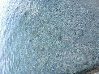 e0160568_167325.jpg