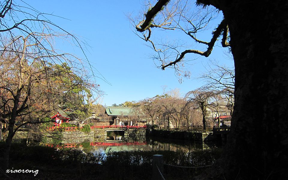 e0182674_2175077.jpg