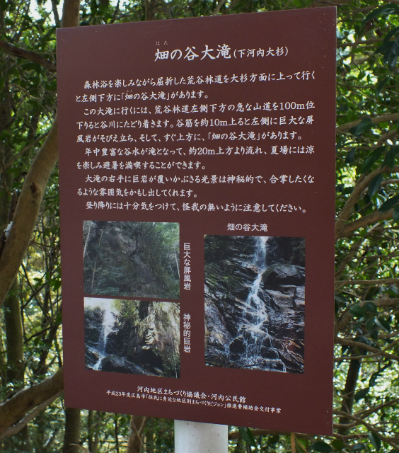 d0245378_815393.jpg