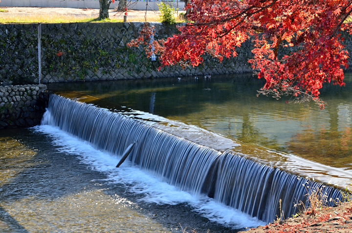 f0108478_21194620.jpg