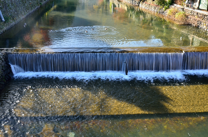 f0108478_21205020.jpg