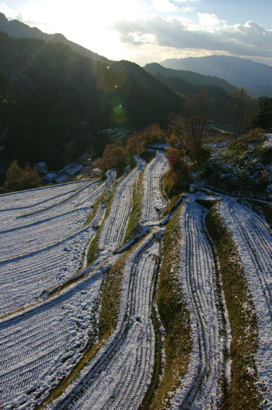 f0192778_21203655.jpg