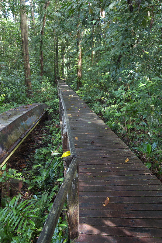 f0090680_23235512.jpg