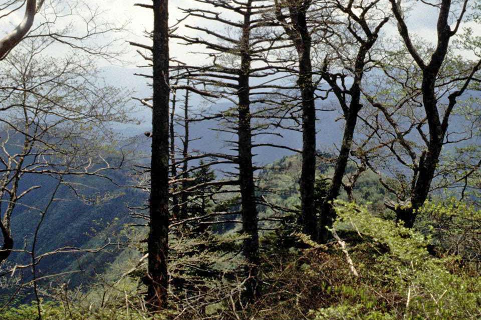 c0170789_9595379.jpg