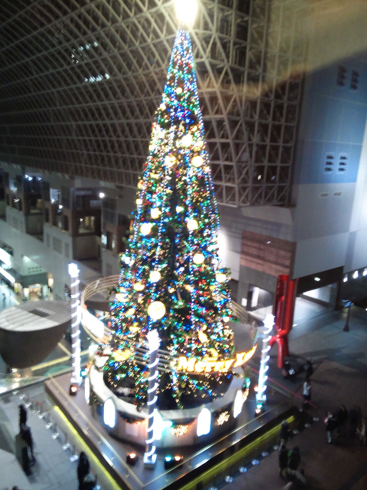 d0134292_23875.jpg