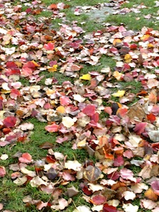 b0125993_7394794.jpg