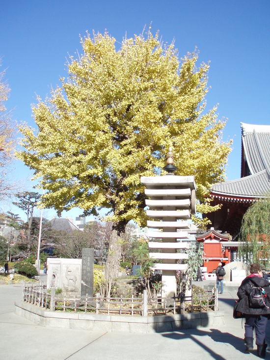 a0207596_14225246.jpg