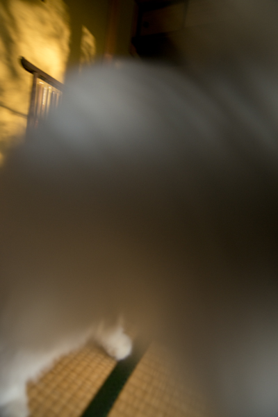 b0141397_10524632.jpg