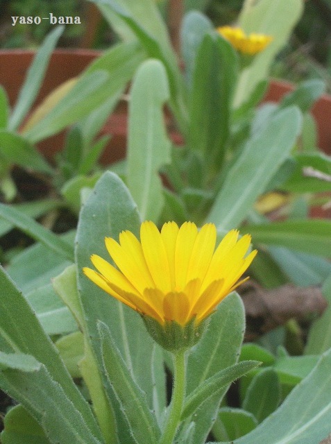 e0025300_14142542.jpg