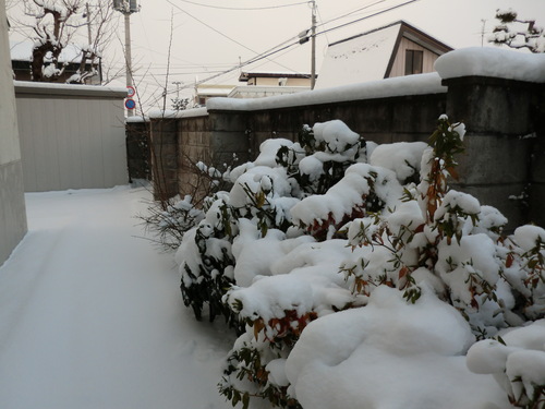e0242504_20125088.jpg
