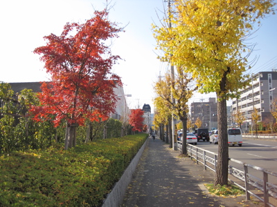 a0164011_074334.jpg